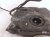 2017 Chevy Malibu Gas / Fuel Tank 84574974 Replacement 2017 Chevy Malibu Gas / Fuel Tank 84574974 Replacement thumbnail