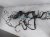 2019 Honda Civic Engine Room Harness W/fuse 1.5t Fwd 32200 TGG L72 Replacement 2019 Honda Civic Engine Room Harness W/fuse 1.5t Fwd 32200 TGG L72 Replacement thumbnail