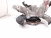 2025 Honda CR V Axle Stub Rear Driver Spindle Knuckle Hub Fwd 52215 3A0 A00 Replacement 2025 Honda CR V Axle Stub Rear Driver Spindle Knuckle Hub Fwd 52215 3A0 A00 Replacement thumbnail