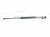 2019 Honda FIT Driver Tailgate Lift Support Strut 74870 T5R A01 Replacement 2019 Honda FIT Driver Tailgate Lift Support Strut 74870 T5R A01 Replacement thumbnail