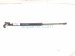 2019 Honda FIT Passenger Tailgate Lift Support Strut 74820 T5R A01 Replacement 2019 Honda FIT Passenger Tailgate Lift Support Strut 74820 T5R A01 Replacement thumbnail