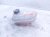 2024 Hyundai Sonata Coolant Overflow Reservoir Tank 25430 L1500 Replacement 2024 Hyundai Sonata Coolant Overflow Reservoir Tank 25430 L1500 Replacement thumbnail