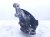 2024 Hyundai Sonata Front Passenger Spindle Knuckle Hub Fwd 51730 L1000 Replacement 2024 Hyundai Sonata Front Passenger Spindle Knuckle Hub Fwd 51730 L1000 Replacement thumbnail