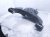 2025 Toyota Tacoma Front Passenger Lower Control Arm 48068 AK010 Replacement 2025 Toyota Tacoma Front Passenger Lower Control Arm 48068 AK010 Replacement thumbnail