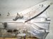 2025 Toyota Tacoma Automatic Transmission = 13k Mi 35000 04230 Replacement 2025 Toyota Tacoma Automatic Transmission = 13k Mi 35000 04230 Replacement thumbnail