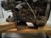 2025 Toyota Tacoma Long Block Engine / Motor = 13k Mi 19000 F0220 Replacement 2025 Toyota Tacoma Long Block Engine / Motor = 13k Mi 19000 F0220 Replacement thumbnail