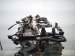 2025 Toyota Tacoma Long Block Engine / Motor = 13k Mi 19000 F0220 Replacement 2025 Toyota Tacoma Long Block Engine / Motor = 13k Mi 19000 F0220 Replacement thumbnail