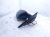 2025 Toyota Tacoma Rear Driver Side View Mirror Black 87940 AK020 Replacement 2025 Toyota Tacoma Rear Driver Side View Mirror Black 87940 AK020 Replacement thumbnail
