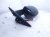 2025 Toyota Tacoma Rear Passenger Side View Mirror Black 87910 AK040 Replacement 2025 Toyota Tacoma Rear Passenger Side View Mirror Black 87910 AK040 Replacement thumbnail