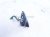 2024 Hyundai Sonata Antenna Roof Mtd Shark Fin Blue 96210 L1BF0 Replacement 2024 Hyundai Sonata Antenna Roof Mtd Shark Fin Blue 96210 L1BF0 Replacement thumbnail