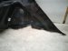 2025 Honda CR V Rear Passenger Inside Quarter Trim Panel blk 84610 3D4 A31ZA Replacement 2025 Honda CR V Rear Passenger Inside Quarter Trim Panel blk 84610 3D4 A31ZA Replacement thumbnail