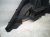 2026 Hyundai Venue Rear Passenger Quarter Trim Panel Blk 85740 K2000 NNB Replacement 2026 Hyundai Venue Rear Passenger Quarter Trim Panel Blk 85740 K2000 NNB Replacement thumbnail