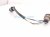 2022 Honda Odyssey Oxygen Front Exhaust Manifold Laf Sensor 36531 5MR A01 Replacement 2022 Honda Odyssey Oxygen Front Exhaust Manifold Laf Sensor 36531 5MR A01 Replacement thumbnail