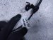 2026 Chevy Equinoxev Rear Driver Abs Wheel Speed Sensor 85046331 Replacement 2026 Chevy Equinoxev Rear Driver Abs Wheel Speed Sensor 85046331 Replacement thumbnail