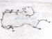 2024 Ford Mustang Rear Bumper Wire Harness W/sensors PR3T 13412 AE Replacement 2024 Ford Mustang Rear Bumper Wire Harness W/sensors PR3T 13412 AE Replacement thumbnail