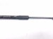 2024 Hyundai Santa Fe Passenger Hood Strut / Lift Cylinder 81161 R6000 Replacement 2024 Hyundai Santa Fe Passenger Hood Strut / Lift Cylinder 81161 R6000 Replacement thumbnail