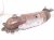 2025 Honda Civic Catalytic Converter 1.5t 18150 64A L00 Replacement 2025 Honda Civic Catalytic Converter 1.5t 18150 64A L00 Replacement thumbnail