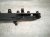2025 Hyundai Sonata Bar / Beam Rear Bumper Reinforcement Absorber 86631 L1700 Replacement 2025 Hyundai Sonata Bar / Beam Rear Bumper Reinforcement Absorber 86631 L1700 Replacement thumbnail
