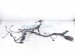 2015 Audi Q5 Audi Engine Wire Harness 2.0l Awd 8K1 971 074 AE Replacement 2015 Audi Q5 Audi Engine Wire Harness 2.0l Awd 8K1 971 074 AE Replacement thumbnail