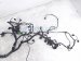 2015 Audi Q5 Audi Engine Wire Harness 2.0l Awd 8K1 971 074 AE Replacement 2015 Audi Q5 Audi Engine Wire Harness 2.0l Awd 8K1 971 074 AE Replacement thumbnail