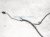 2015 Audi Q5 Audi Battery Cable Wiring Harness 2.0t 8R0 971 225 G Replacement 2015 Audi Q5 Audi Battery Cable Wiring Harness 2.0t 8R0 971 225 G Replacement thumbnail