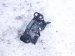 2023 Dodge Ram 1500 Hood Latch Assy W/ Release Lever 4589528AC Replacement 2023 Dodge Ram 1500 Hood Latch Assy W/ Release Lever 4589528AC Replacement thumbnail