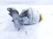 2023 Dodge Ram 1500 Brake Master Cylinder W/reservoir 68000908AB Replacement 2023 Dodge Ram 1500 Brake Master Cylinder W/reservoir 68000908AB Replacement thumbnail