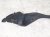 2024 Chevy Corvette Cover Rear Bumper Valance Air Deflector 85525476 Replacement 2024 Chevy Corvette Cover Rear Bumper Valance Air Deflector 85525476 Replacement thumbnail