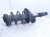 2017 Honda Accord Front Driver Strut Absorber + Spring 51621 T2F 315 Replacement 2017 Honda Accord Front Driver Strut Absorber + Spring 51621 T2F 315 Replacement thumbnail