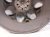 2019 Chrysler 300 Front Driver Wheel / Rim 5PQ12NTSAB Replacement 2019 Chrysler 300 Front Driver Wheel / Rim 5PQ12NTSAB Replacement thumbnail