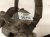 2019 Chrysler 300 Rear Passenger Brake Caliper 68548608AA Replacement 2019 Chrysler 300 Rear Passenger Brake Caliper 68548608AA Replacement thumbnail