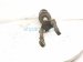 2019 Chrysler 300 Front Passenger Strut Absorber + Spring 68544215AA Replacement 2019 Chrysler 300 Front Passenger Strut Absorber + Spring 68544215AA Replacement thumbnail