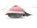 2019 Chrysler 300 Light / Rear Driver Tail Lamp (on Body) 68400331AA Replacement 2019 Chrysler 300 Light / Rear Driver Tail Lamp (on Body) 68400331AA Replacement thumbnail