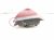 2019 Chrysler 300 Light / Rear Passenger Tail Lamp (on Body) 68400290AA Replacement 2019 Chrysler 300 Light / Rear Passenger Tail Lamp (on Body) 68400290AA Replacement thumbnail