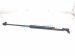 2018 Honda Civic Rear Driver Tailgate Lift Support Strut 74820 TGH 305 Replacement 2018 Honda Civic Rear Driver Tailgate Lift Support Strut 74820 TGH 305 Replacement thumbnail