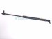 2018 Honda Civic Rear Passenger Tailgate Lift Support Strut 74820 TGH 305 Replacement 2018 Honda Civic Rear Passenger Tailgate Lift Support Strut 74820 TGH 305 Replacement thumbnail