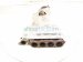 2023 Toyota Camry Catalytic Exhaust Manifold W/conv 2.5l Fwd 17141 F0140 Replacement 2023 Toyota Camry Catalytic Exhaust Manifold W/conv 2.5l Fwd 17141 F0140 Replacement thumbnail