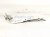 2022 Honda Odyssey Passenger Hood Hinge White 60120 THR A00ZZ Replacement 2022 Honda Odyssey Passenger Hood Hinge White 60120 THR A00ZZ Replacement thumbnail