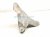 2016 Honda Accord Engine/motor Front Engine Mount Bracket 2.4l 50630 T2F A01 Replacement 2016 Honda Accord Engine/motor Front Engine Mount Bracket 2.4l 50630 T2F A01 Replacement thumbnail