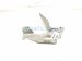 2022 Lexus Ux250h Driver Hood Hinge Silver 53420 76051 Replacement 2022 Lexus Ux250h Driver Hood Hinge Silver 53420 76051 Replacement thumbnail