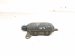 2022 Lexus Ux250h Rear Driver Blind Spot Radar Sensor 88162 76070 Replacement 2022 Lexus Ux250h Rear Driver Blind Spot Radar Sensor 88162 76070 Replacement thumbnail