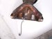 2026 Nissan Sentra Air Fuel Ratio Oxygen Sensor 22693 6LB0A Replacement 2026 Nissan Sentra Air Fuel Ratio Oxygen Sensor 22693 6LB0A Replacement thumbnail