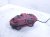 2021 Acura TLX Front Driver Brake Caliper 45019 TGZ A02 Replacement 2021 Acura TLX Front Driver Brake Caliper 45019 TGZ A02 Replacement thumbnail