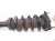 2021 Acura TLX Front Driver Strut Absorber + Spring 51621 TGZ A53 Replacement 2021 Acura TLX Front Driver Strut Absorber + Spring 51621 TGZ A53 Replacement thumbnail