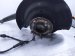 2021 Acura TLX Front Driver Spindle Knuckle Hub Awd 51216 TGV A03 Replacement 2021 Acura TLX Front Driver Spindle Knuckle Hub Awd 51216 TGV A03 Replacement thumbnail