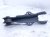 2021 Acura TLX Rear Driver Rearward Lower Control Arm 52515 TGV A01 Replacement 2021 Acura TLX Rear Driver Rearward Lower Control Arm 52515 TGV A01 Replacement thumbnail