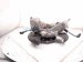 2021 Acura TLX Axle Stub Rear Passenger Spindle Knuckle Hub Awd 52210 TGY A01 Replacement 2021 Acura TLX Axle Stub Rear Passenger Spindle Knuckle Hub Awd 52210 TGY A01 Replacement thumbnail