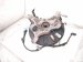 2021 Acura TLX Axle Stub Rear Driver Spindle Knuckle Hub Awd 52215 TGY A01 Replacement 2021 Acura TLX Axle Stub Rear Driver Spindle Knuckle Hub Awd 52215 TGY A01 Replacement thumbnail