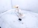 2021 Acura TLX Gas / Fuel Pump (tank Mounted) 17045 TGV A03 Replacement 2021 Acura TLX Gas / Fuel Pump (tank Mounted) 17045 TGV A03 Replacement thumbnail