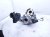 2021 Acura TLX Turbocharger 61k Miles 18030 6S9 305 Replacement 2021 Acura TLX Turbocharger 61k Miles 18030 6S9 305 Replacement thumbnail